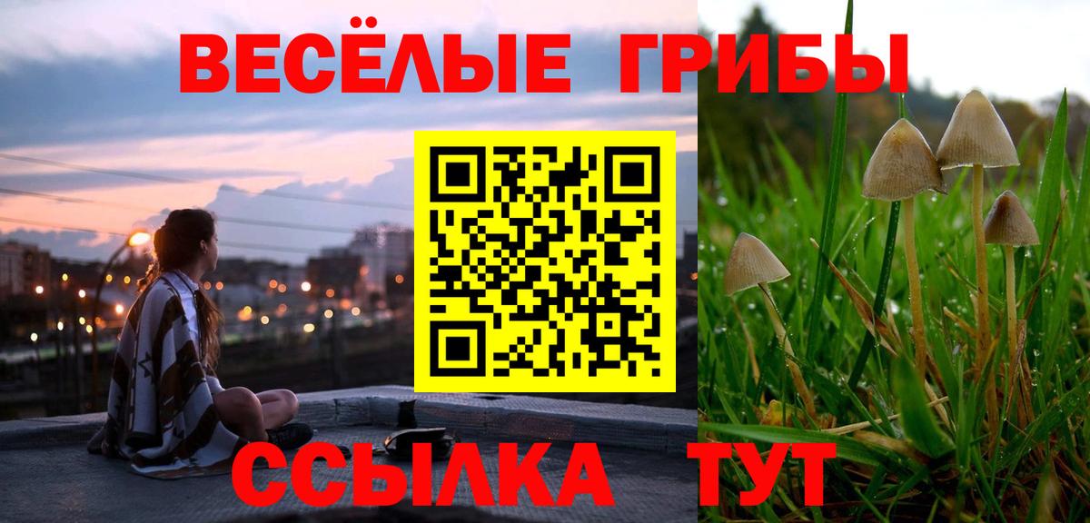 Коломна  Псилоцибиновые грибы прущие грибы  Вход с VPN  Галлюциногенные грибы MAGIC MUSHROOMS 